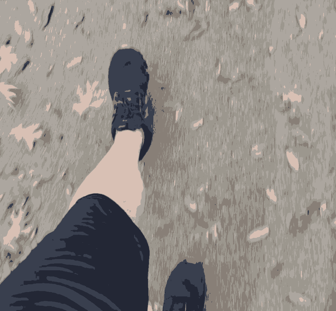 Screenshot_2024-12-28_at_8.04.26_AM